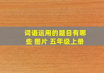 词语运用的题目有哪些 图片 五年级上册